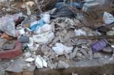 В Николаеве 4 многоэтажки «утопают» в мусоре