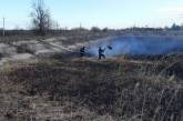 Спасатели Николаевщины за день трижды тушили пожар камыша