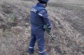 На Николаевщине уничтожили найденную винтовочную гранату