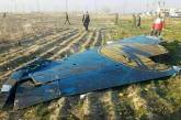 В МИДе Ирана заявили, что виновный в катастрофе самолета МАУ находится в тюрьме
