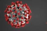 Италия заявила, что сделала важный шаг на пути к созданию вакцины против коронавируса