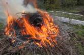 На Николаевщине умерла пенсионерка, которая загорелась во время сжигания мусора