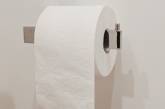 «Дефицитный товар»: в США мужчина подрался с матерью из-за туалетной бумаги