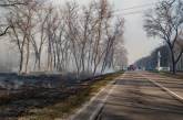 Спасатели опубликовали видео пожара в Чернобыльских лесах изнутри