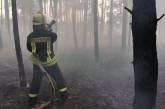 В Николаеве и области на Пасху несколько раз горели леса