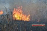 В Матвеевке неизвестные сожгли 3000 кв.м. камыша