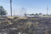 Неизвестные выжгли в Николаеве 9000 м² территории
