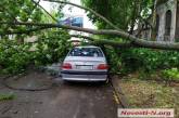 В центре Николаева штормовой ветер повалил огромную ветку на автомобиль 