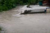 В социальных сетях появились фото потопа, который едва не смыл целое село на Прикарпатье