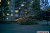 В Николаеве упавшее огромное дерево перекрыло движение по ул. Крылова