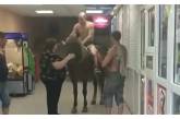 В Киеве полуголый мужчина на коне заехал в супермаркет за пивом