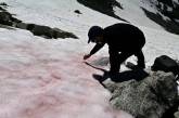 В итальянских Альпах появился розовый лед