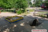 В Николаеве собаки убивают котов и трупы закапывают в детской песочнице