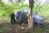 В Николаевской области "Деу Ланос" на большой скорости врезался в дерево - есть погибшие