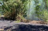 За субботу на Николаевщине выгорело 3,3 гектара сухостоя