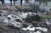 В Николаеве пожарные тушили загоревшийся мусорный бак