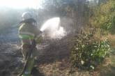 В Николаевской области за сутки выгорело 22 гектара территории
