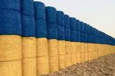 На Тернопольщине из тюков соломы выложили огромный флаг Украины