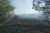 В Николаевской области около 4-х часов тушили пожар в лесу
