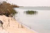 В Одесской области озеро зацвело ядовитыми водорослями