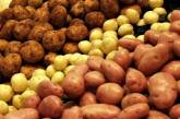 В Украине упали цены на картошку: чего ждать