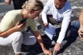 «Просто не мешайте нам», - Татьяна Домбровская о ремонте крыши спортшколы «Трудовые резервы»