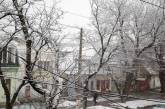 Дождались: на "старый Новый год" в Николаеве выпал первый снег