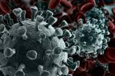 Осенью в Европе начнется рост смертей от коронавируса - ВОЗ