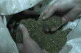Правоохранители задержали наркоторговца: изъято 2 кг канабиса и килограмм конопли   