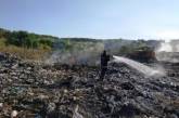 На Житомирщине горит свалка: огонь может перекинуться на лес