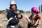 В Николаевской области спасатели вытащили из колодца собаку