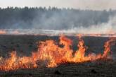 За сутки в Николаевской области случилось 10 пожаров — горело лесное урочище и сухостой