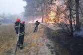 Пожары в Луганской области унесли жизнь уже девяти человек