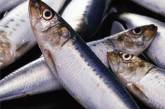 В Николаеве задержали полторы тысячи тонн рыбы с паразитами