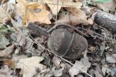 В Николаевской области мужчина в лесу нашел РГД-5