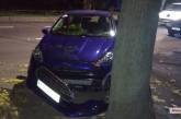 В Николаеве «Форд» после столкновения с ВАЗом врезался в дерево