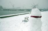 В Николаевской области в течение двух дней может выпасть снег
