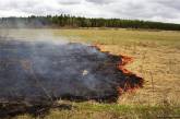 Раде рекомендуют ввести штрафы за выжигание травы и поджоги лесов