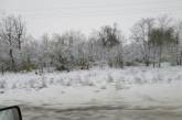 В Николаевской области выпал снег. ФОТО