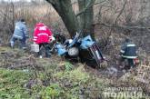 В Житомирской области ВАЗ слетел с дороги - трое погибших