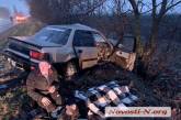 Под Николаевом «лоб в лоб» столкнулись «Хонда» и ВАЗ – трое пострадавших