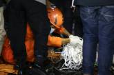 Найдены останки пассажиров разбившегося самолета в Индонезии