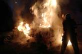 Появилось видео, как в Николаеве ночью сгорел «Мерседес»: очевидцы утверждают, что его подожгли