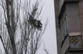 В Николаеве из окна многоэтажки выбросили елку: дерево зависло над головами прохожих