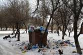 Морозы прошли, а мусор остался: в Корабельном районе жители опасаются экологической катастрофы