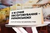 В Украине будут украинизировать сайты, - Креминь