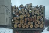 Ночью херсонские полицейские задержали грузовик с древесиной из Николаевской области