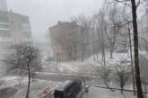 Киев внезапно накрыло снежной бурей. Видео