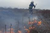 В Николаевской области за сутки сгорело 4,7 га сухостоя
