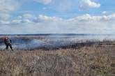 В Николаевской области неизвестные несколько раз поджигали сухостой – выгорело 8 га